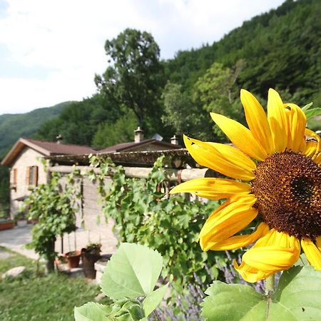 Agriturismo Ca Sonino Bettola  Exterior foto