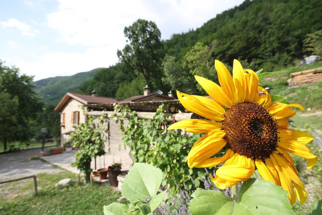 Agriturismo Ca Sonino Bettola  Exterior foto